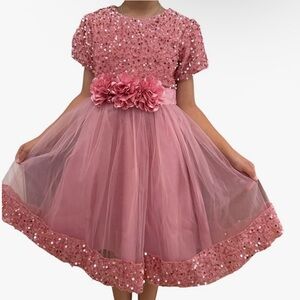 NWT Gugu Gaga Size 24 Months Dusty Rose Sequined Tulle  Dress